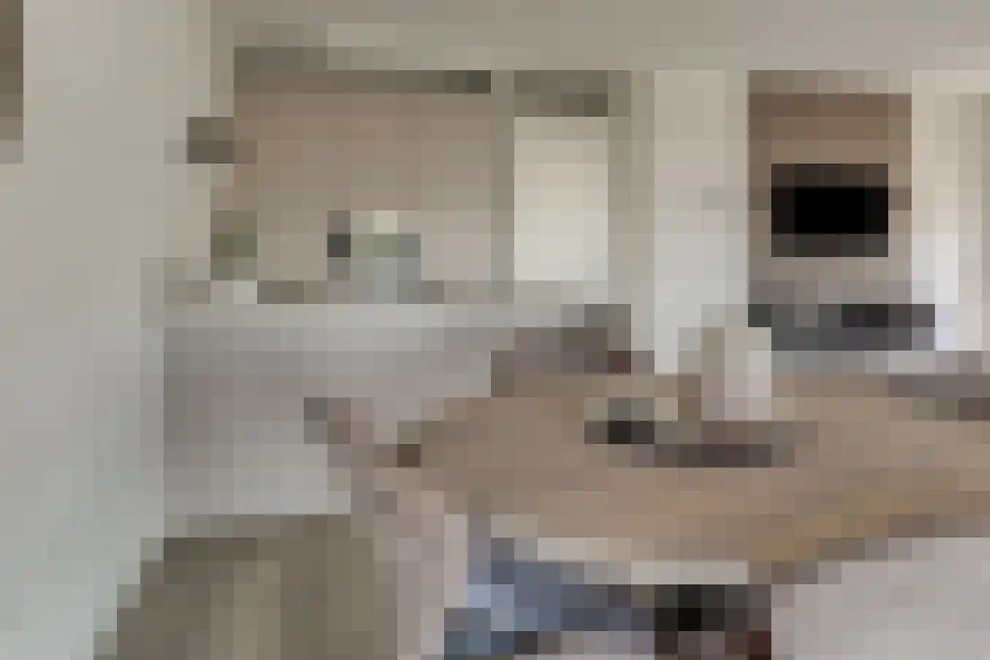 Jaagpad 103 Alkmaar thumbnail 34