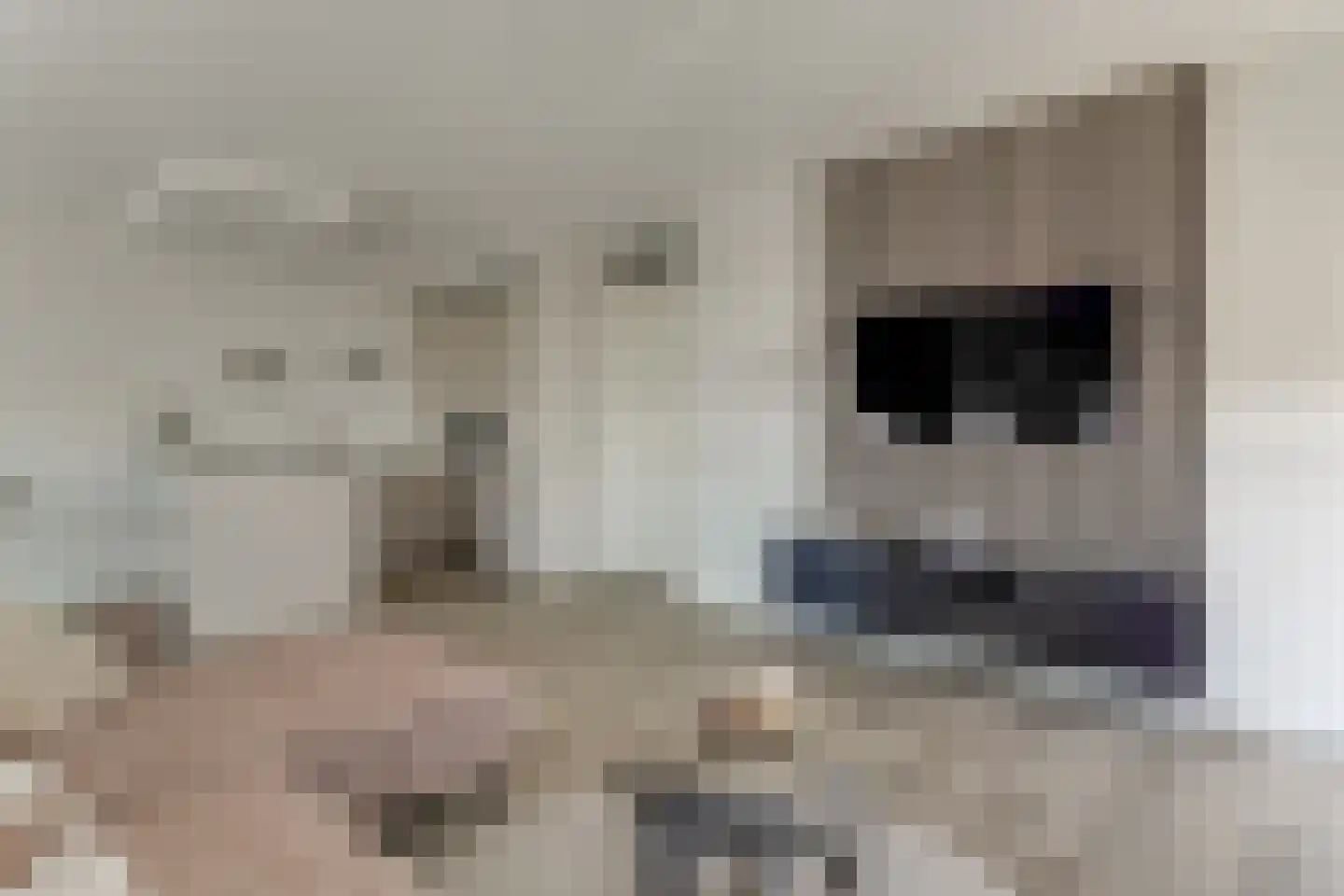 Jaagpad 103 Alkmaar thumbnail 36