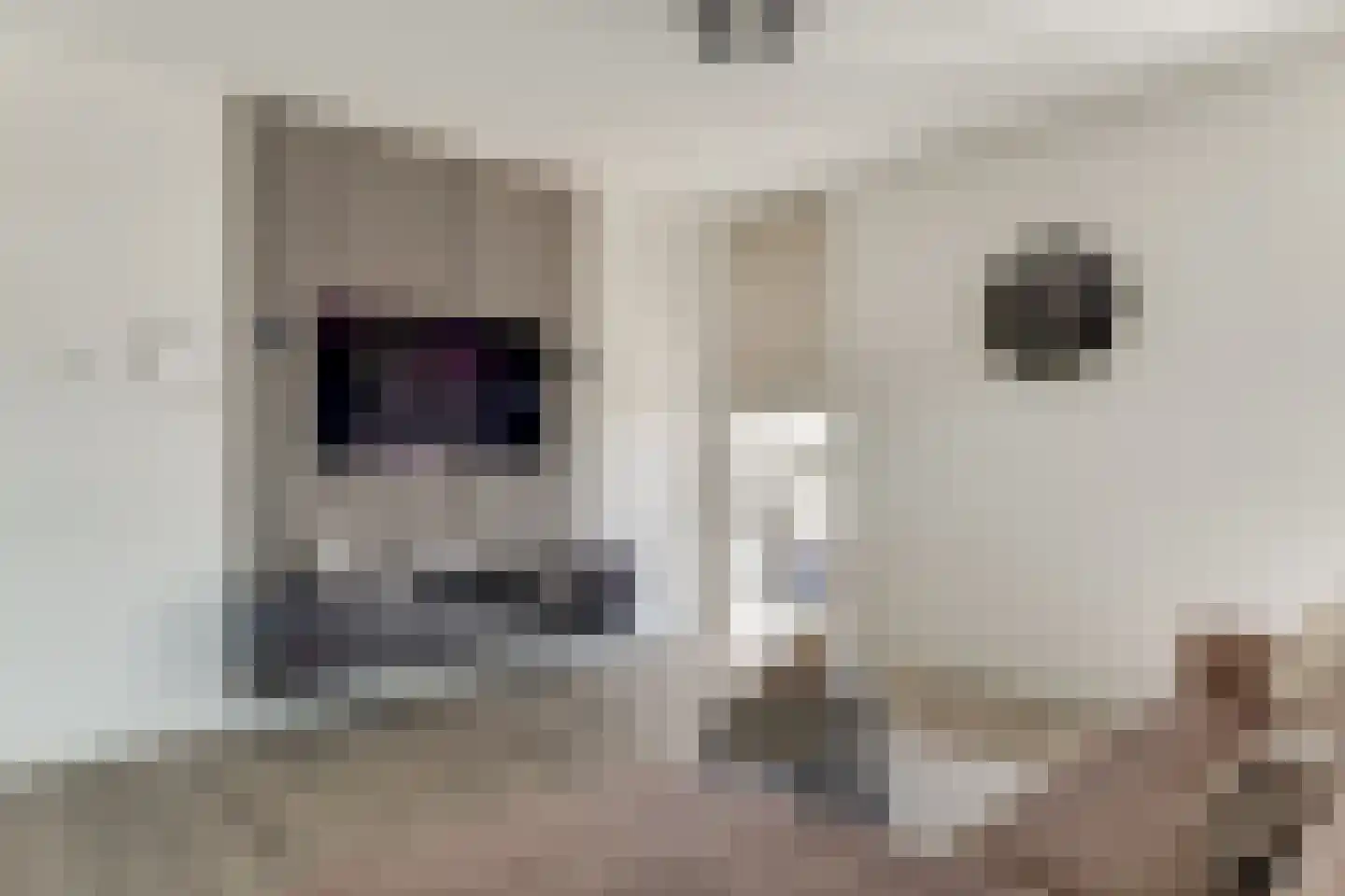 Jaagpad 103 Alkmaar thumbnail 37