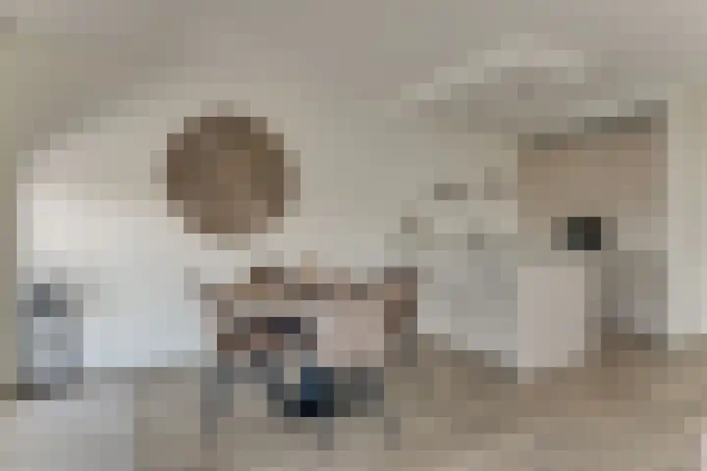 Jaagpad 103 Alkmaar thumbnail 38