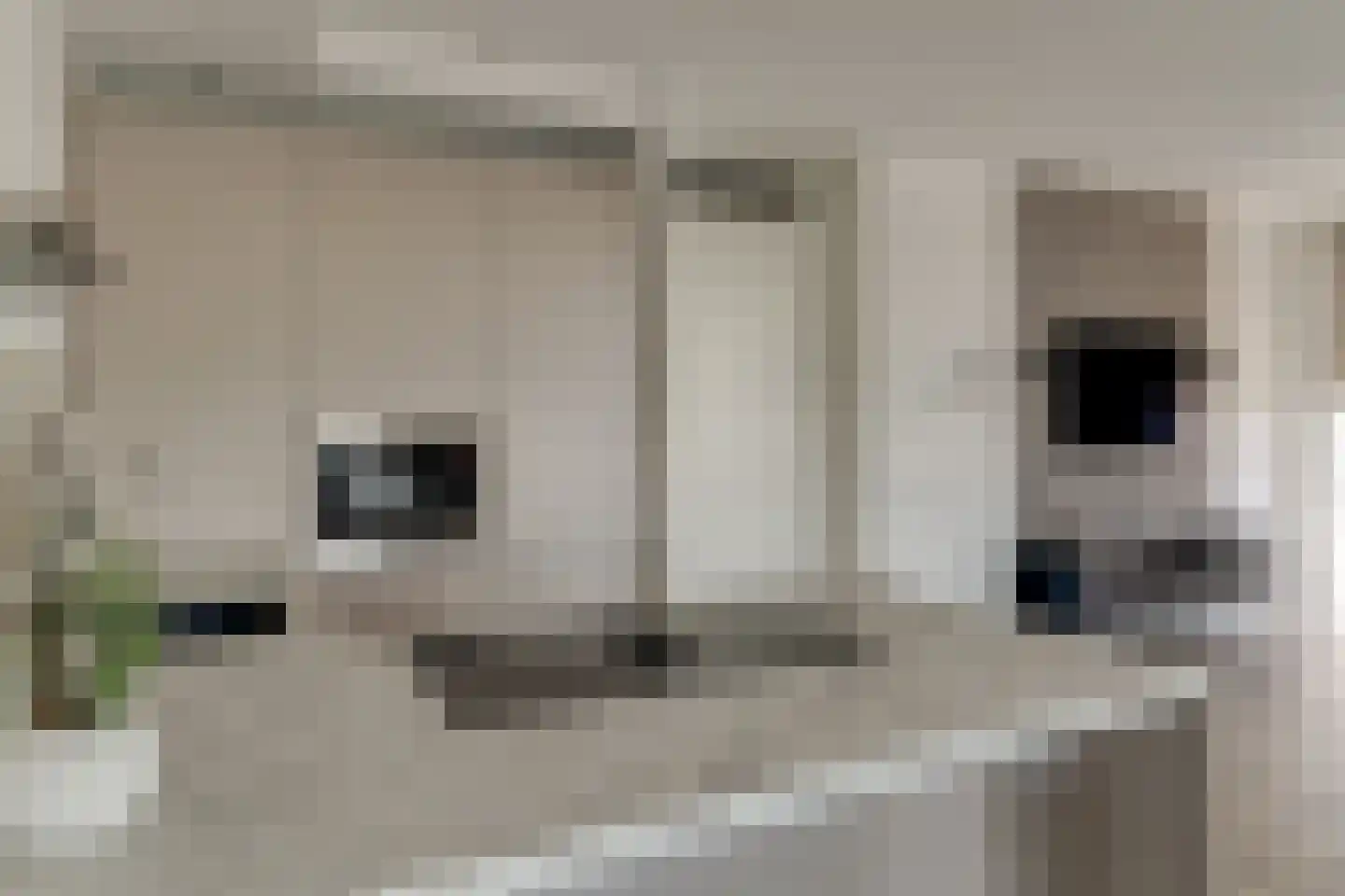 Jaagpad 103 Alkmaar thumbnail 4