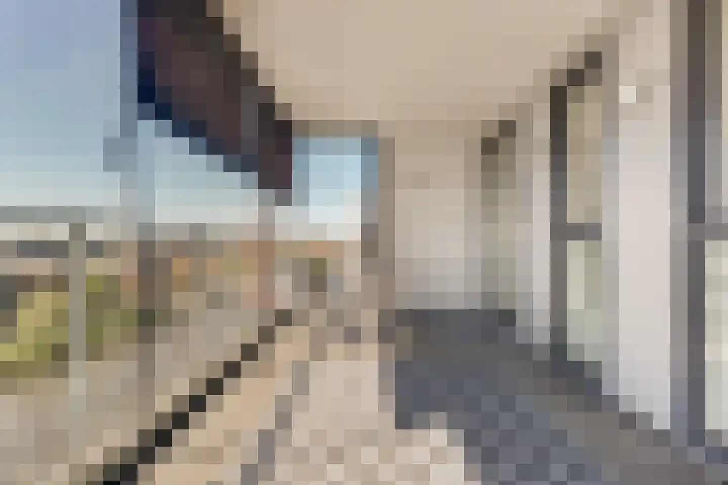 Jaagpad 103 Alkmaar thumbnail 5