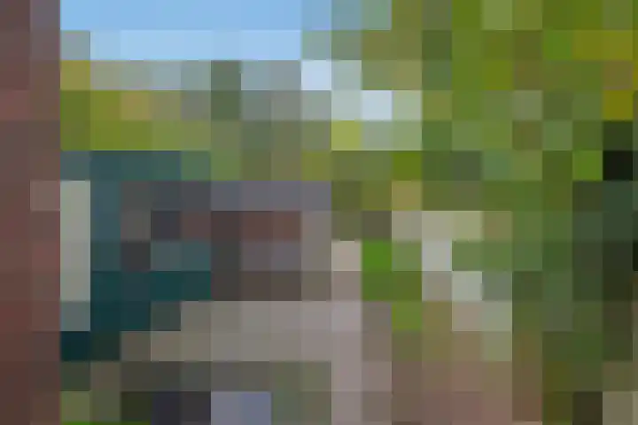 Jaagpad 104 Rijswijk thumbnail 17