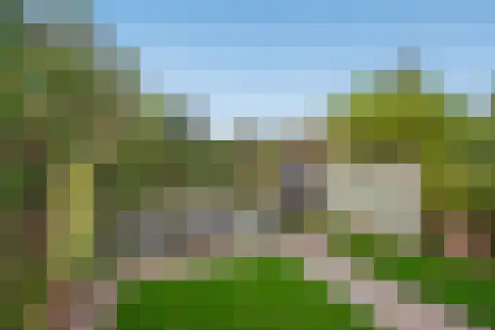 Jaagpad 104 Rijswijk thumbnail 19
