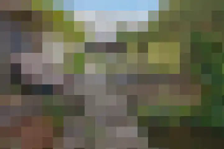 Jaagpad 104 Rijswijk thumbnail 22