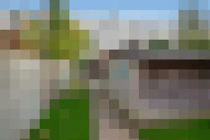 Jaagpad 104 Rijswijk thumbnail 23