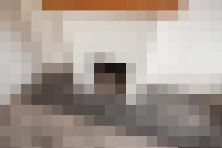 Jaagpad 104 Rijswijk thumbnail 26
