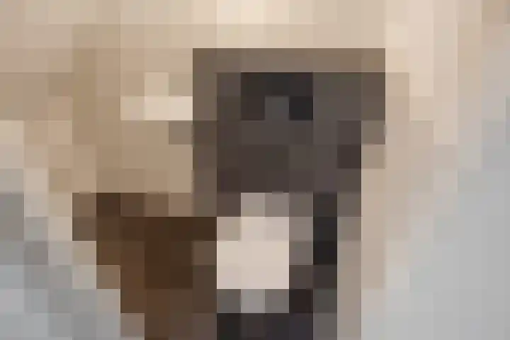 Jaagpad 104 Rijswijk thumbnail 32