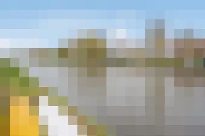Jaagpad 104 Rijswijk thumbnail 35