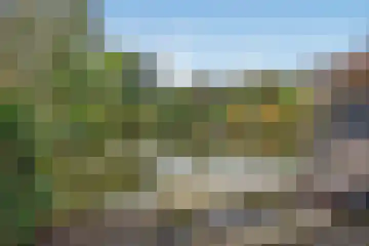 Jaagpad 104 Rijswijk thumbnail 4