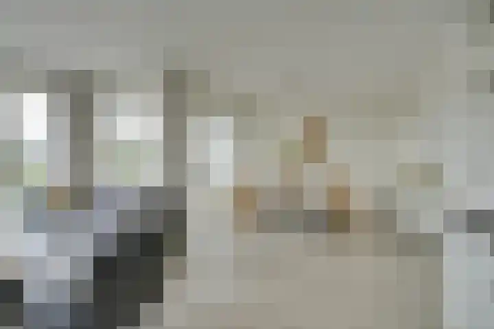 Jaagpad 11 Alkmaar thumbnail 14