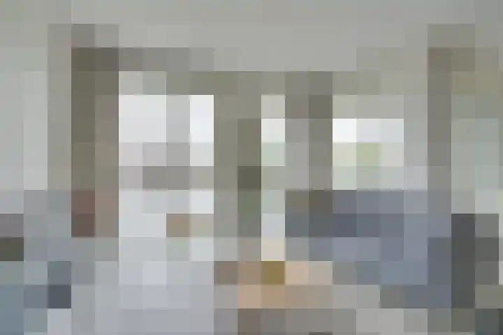 Jaagpad 11 Alkmaar thumbnail 15