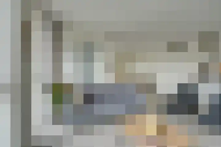 Jaagpad 11 Alkmaar thumbnail 16