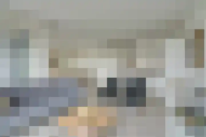 Jaagpad 11 Alkmaar thumbnail 17
