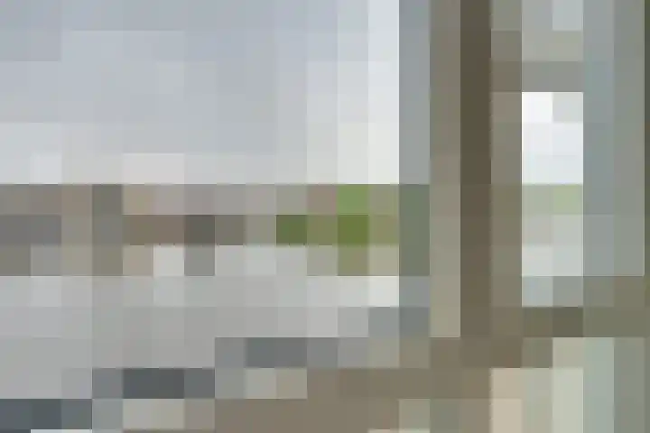 Jaagpad 11 Alkmaar thumbnail 18