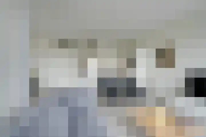Jaagpad 11 Alkmaar thumbnail 19