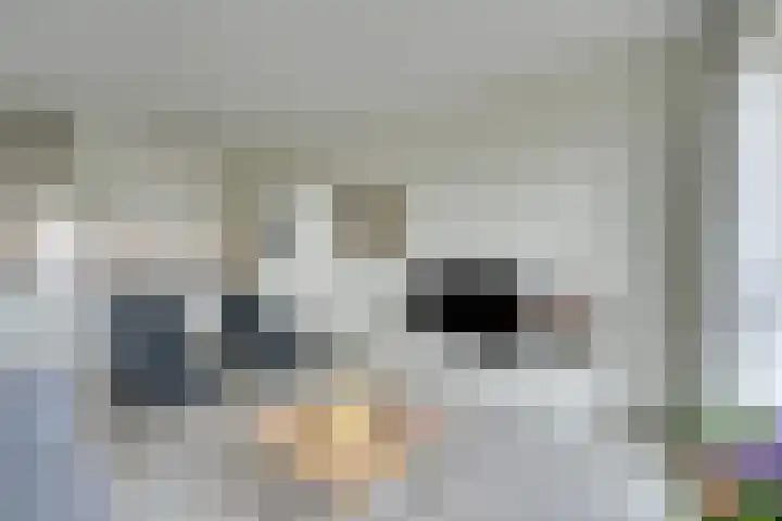 Jaagpad 11 Alkmaar thumbnail 20