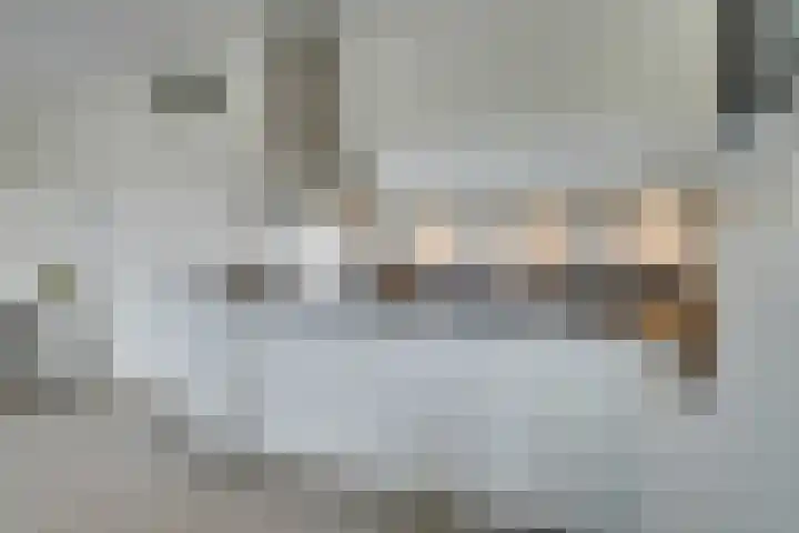 Jaagpad 11 Alkmaar thumbnail 22