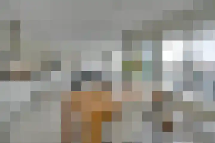 Jaagpad 11 Alkmaar thumbnail 23