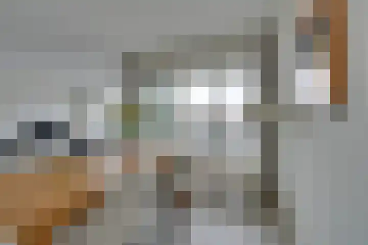 Jaagpad 11 Alkmaar thumbnail 24