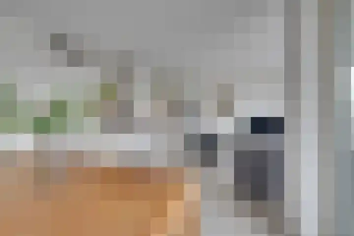 Jaagpad 11 Alkmaar thumbnail 25