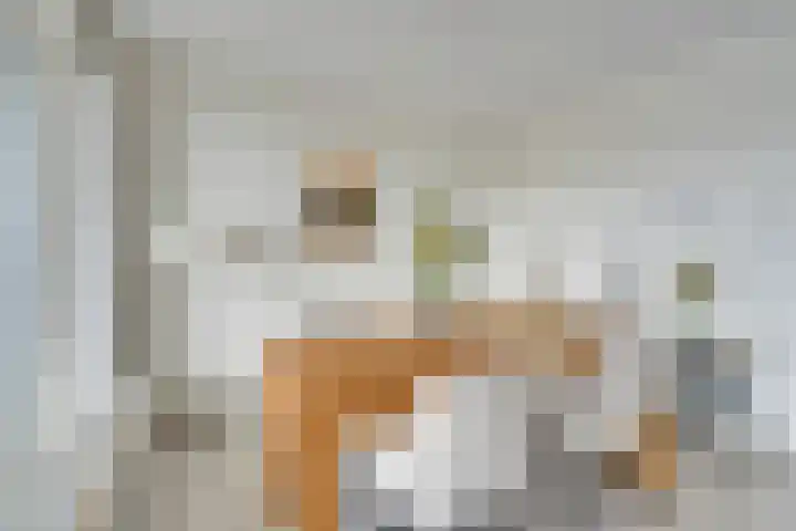 Jaagpad 11 Alkmaar thumbnail 26