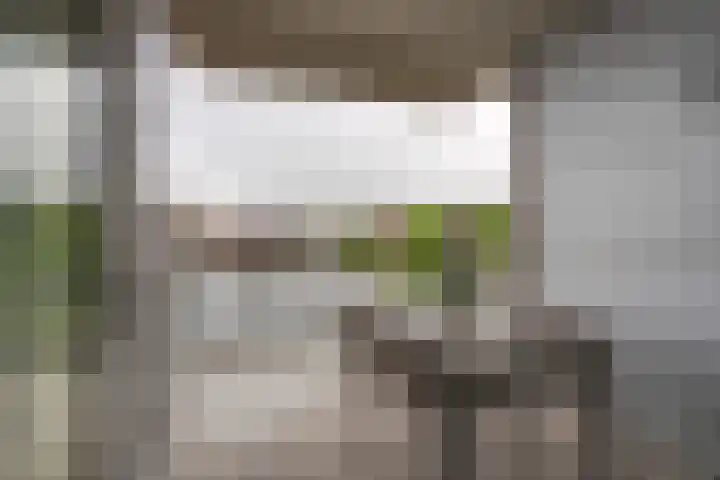 Jaagpad 11 Alkmaar thumbnail 28