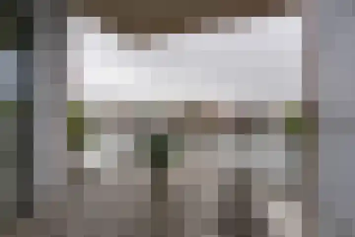 Jaagpad 11 Alkmaar thumbnail 29