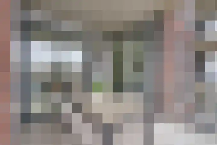Jaagpad 11 Alkmaar thumbnail 30