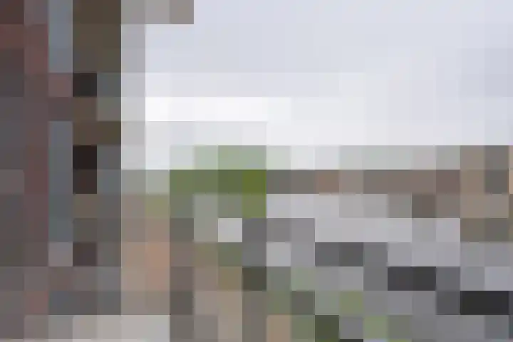 Jaagpad 11 Alkmaar thumbnail 31