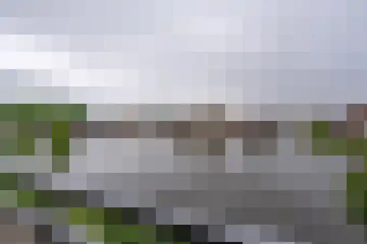 Jaagpad 11 Alkmaar thumbnail 32