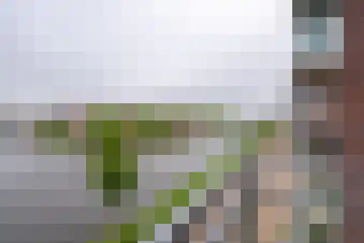 Jaagpad 11 Alkmaar thumbnail 33