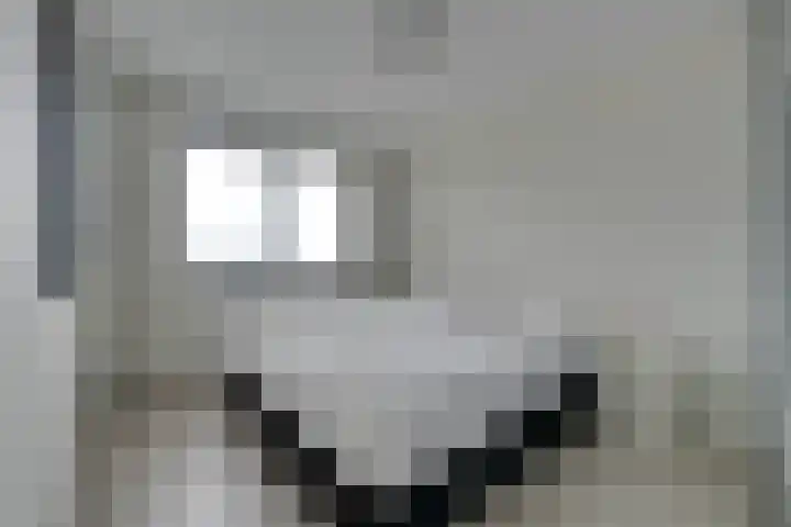 Jaagpad 11 Alkmaar thumbnail 34