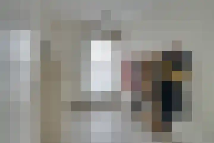 Jaagpad 11 Alkmaar thumbnail 37