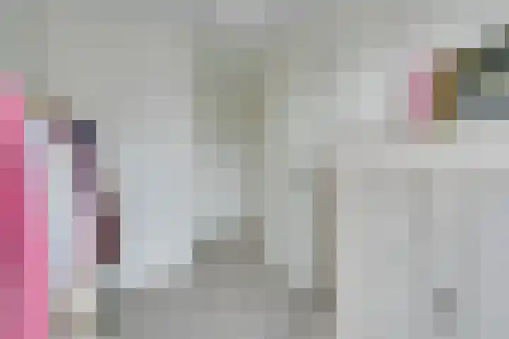 Jaagpad 11 Alkmaar thumbnail 39