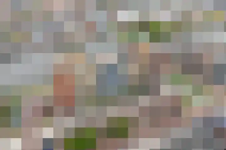 Jaagpad 11 Alkmaar thumbnail 4