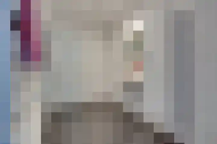 Jaagpad 11 Alkmaar thumbnail 40