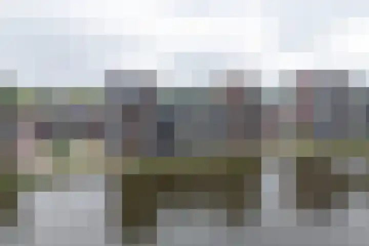 Jaagpad 11 Alkmaar thumbnail 48