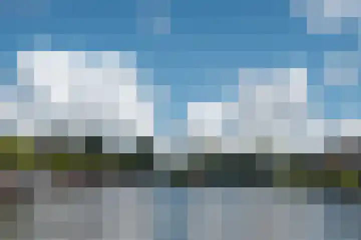 Jaagpad 11 Alkmaar thumbnail 50