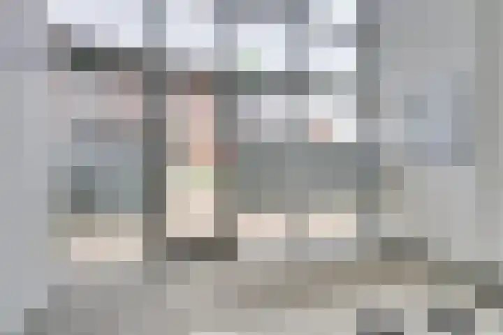 Jaagpad 11 Alkmaar thumbnail 6