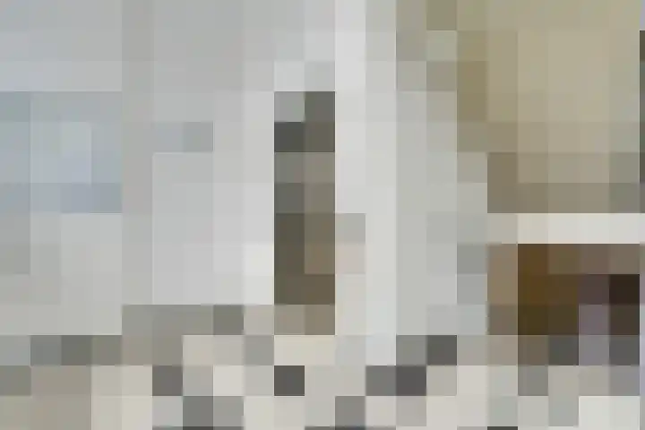 Jaagpad 11 Alkmaar thumbnail 7