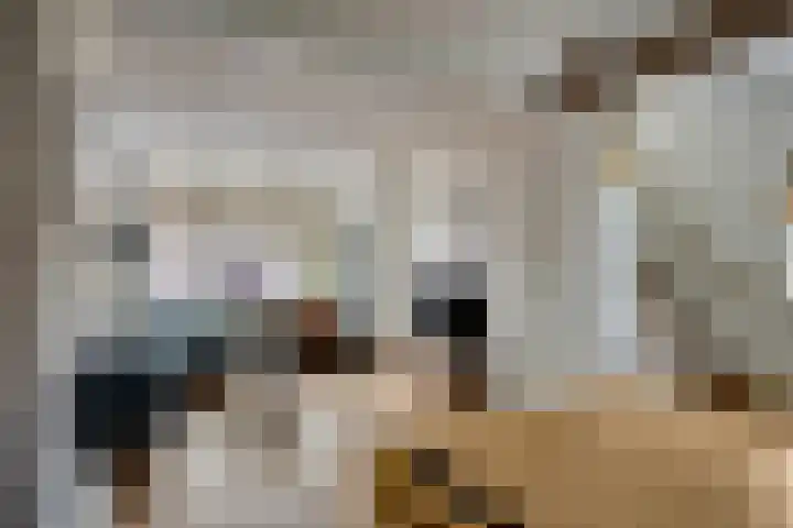 Jaagpad 13 Harmelen thumbnail 11