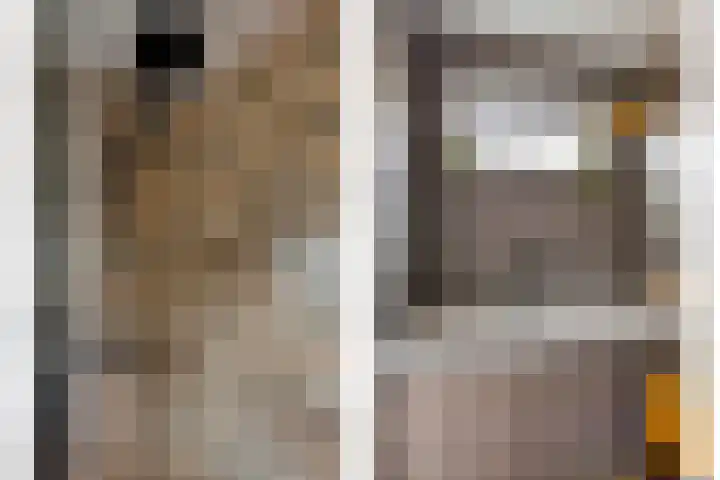 Jaagpad 13 Harmelen thumbnail 14