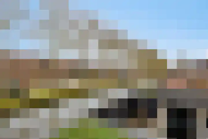 Jaagpad 13 Harmelen thumbnail 23