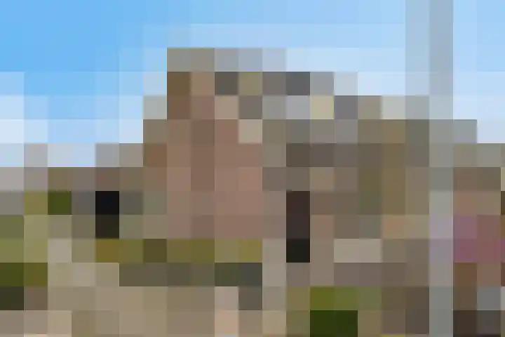 Jaagpad 13 Harmelen thumbnail 26
