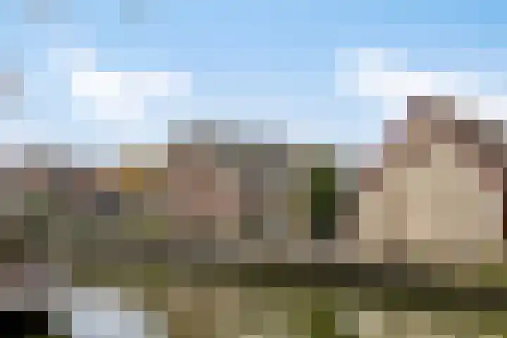 Jaagpad 13 Harmelen thumbnail 27