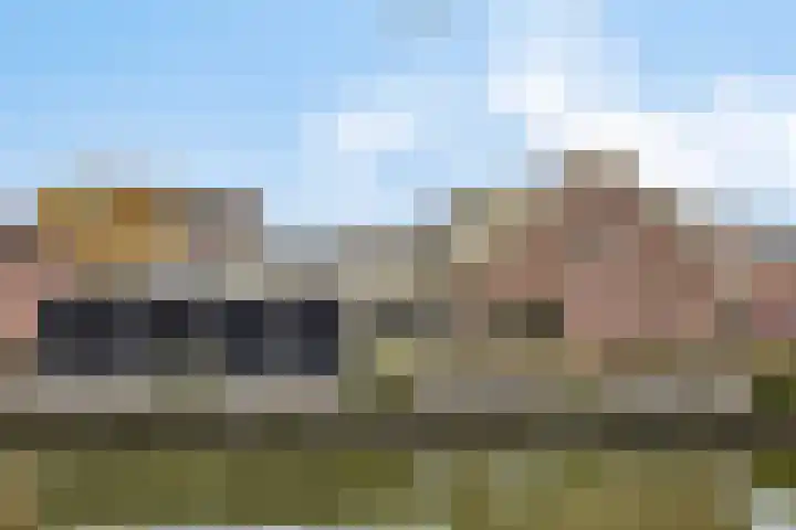 Jaagpad 13 Harmelen thumbnail 28
