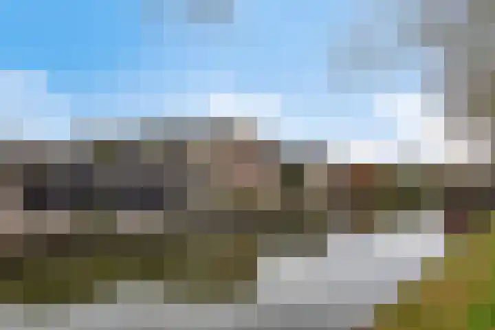 Jaagpad 13 Harmelen thumbnail 29