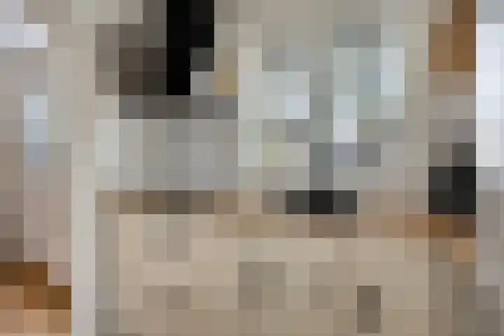 Jaagpad 13 Harmelen thumbnail 6