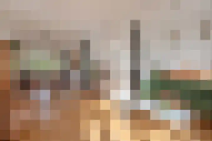 Jaagpad 131 Rijswijk thumbnail 13